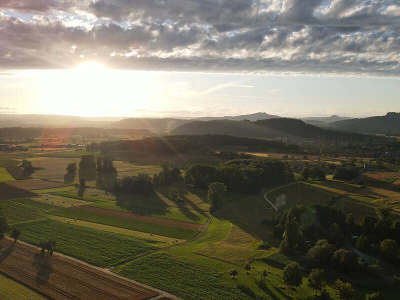 Eine weite, grüne Landschaft mit Feldern und Bäumen unter einem bewölkten Himmel, während die Sonne über dem Horizont aufgeht.