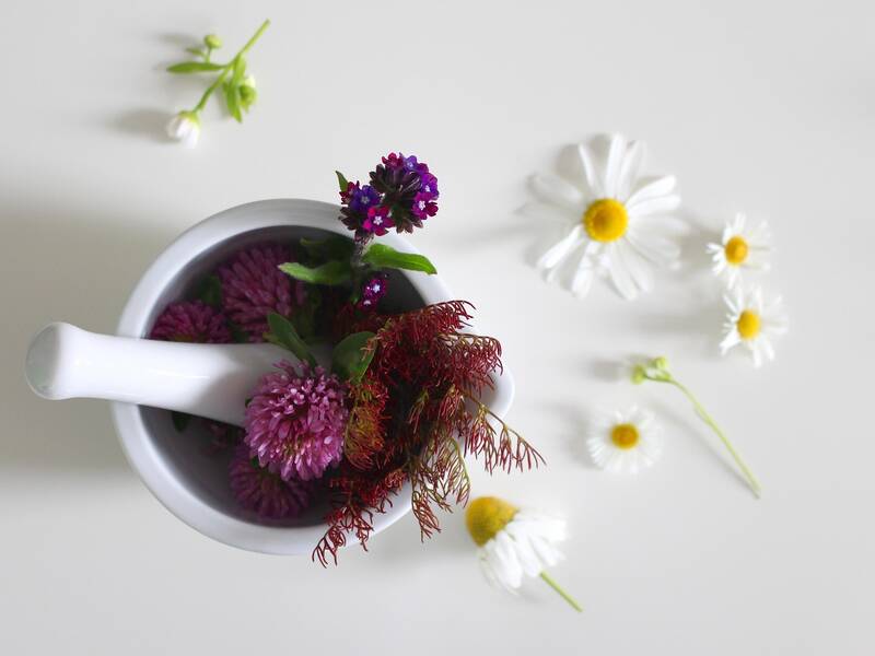 Ein Mörser und Stößel gefüllt mit lila und roten Blumen, umgeben von weißen Gänseblümchen auf einem weißen Hintergrund.
