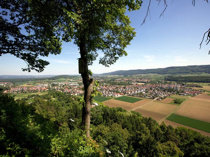 Ein Baum im Vordergrund rahmt den Blick auf eine ausgedehnte Felderlandschaft mit einer kleinen Stadt im Hintergrund ein.