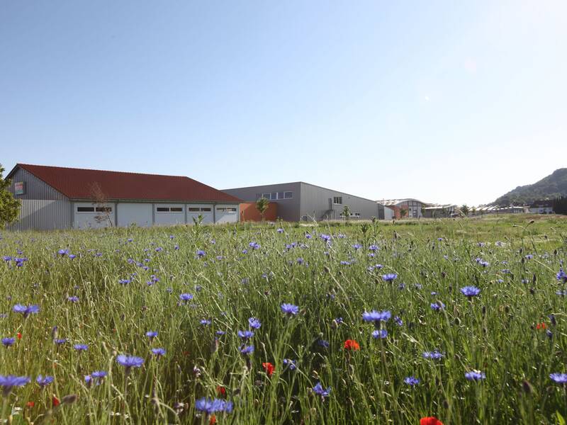 Ein blühendes Feld mit blauen und roten Blumen erstreckt sich vor modernen Gebäuden unter einem klaren Himmel.