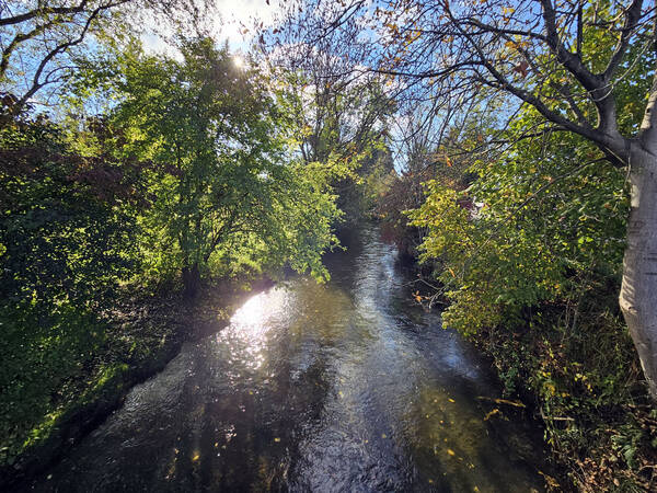 Der Fluss Aach fließt durch alle drei Ortsteile von Rielasingen-Worblingen.