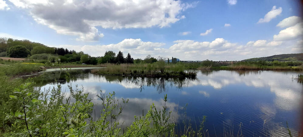 Der Sielmann Weiher in Worblingen mit umliegenden grünen Büschen und Bäumen spiegelt den blauen Himmel mit einigen Wolken wider.