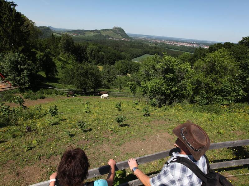 Zwei Personen stehen an einem Zaun und blicken auf eine grüne Landschaft mit Hügeln, Bäumen und einem weit entfernten Berg.