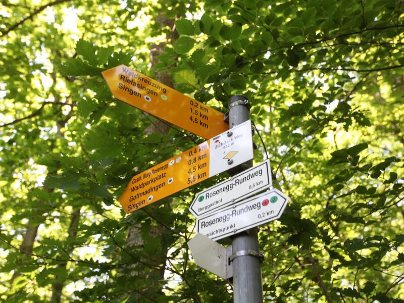 Ein Pfosten im Wald mit mehreren farbigen Wegweisern, die Richtungen und Entfernungen zu verschiedenen Zielen anzeigen.