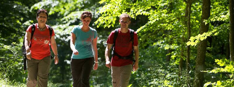 Drei Personen wandern fröhlich auf einem sonnigen Waldweg.