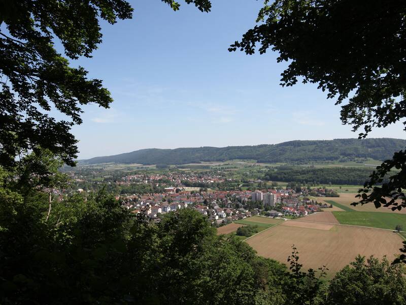 Blick durch die Bäume auf eine malerische Stadtlandschaft mit angrenzenden Feldern und bewaldeten Hügeln im Hintergrund.