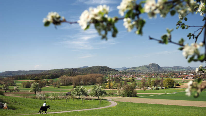Eine weite, grüne Landschaft mit einem kurvigen Weg, auf dem eine Person auf einem Pferd reitet, umgeben von blühenden Bäumen und Rielasingen-Worblingen im Hintergrund unter einem klaren blauen Himmel.