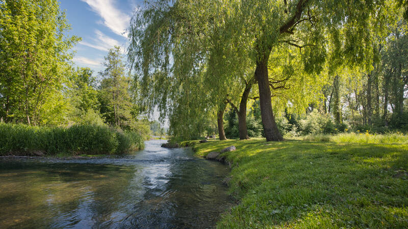 Aachufer