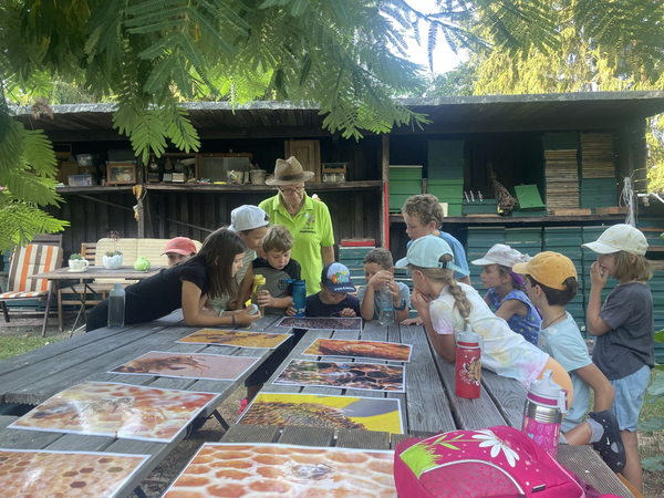 Stadtimkerin - Eine Gruppe von Kindern sitzt an einem Holztisch im Freien und betrachtet verschiedene Fotos unter der Anleitung einer Imkerin in einem grünen Hemd und Hut.
