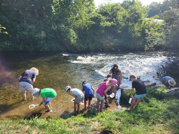 BUND - Mehrere Kinder und eine Erwachsene stehen am Ufer der Aach und sammeln mit Keschern und Eimern Wasserproben.