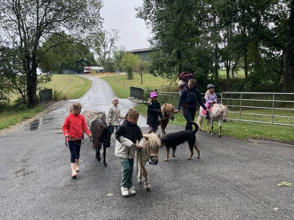 Mehrere Kinder führen Ponys auf einer ländlichen Straße, begleitet von einem Hund und einem Erwachsenen.