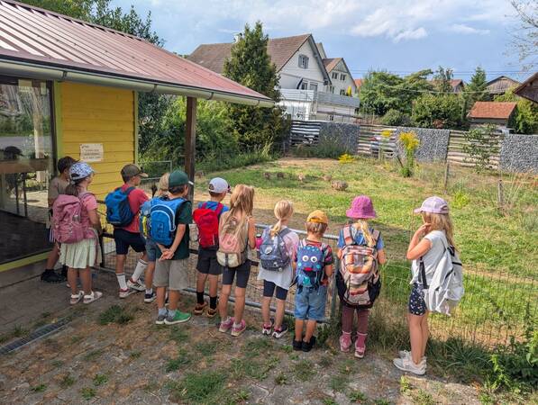 Eine Gruppe von Kindern mit Rucksäcken steht vor einem Zaun und beobachtet ein Tiergehege.