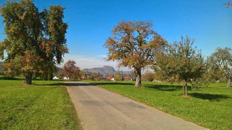 Ein schmaler Weg führt durch eine grüne Wiese mit mehreren Bäumen, während im Hintergrund ein Dorf und ein Hügel zu sehen sind.