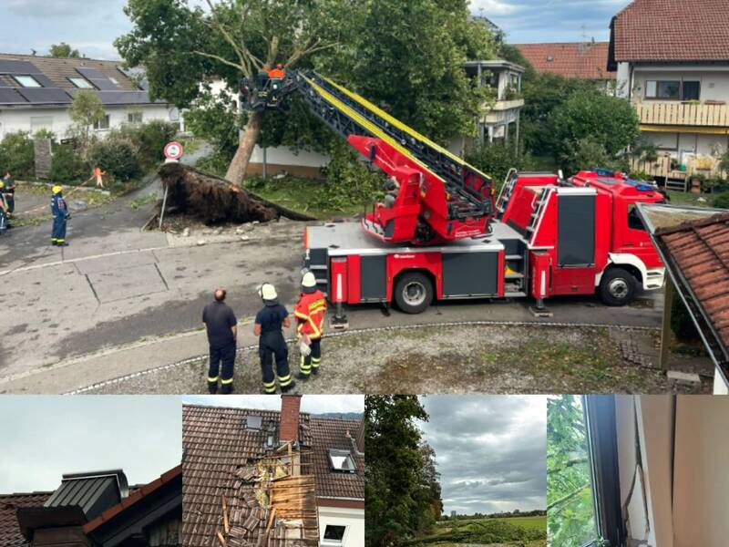 Ein umgestürzter Baum wird von Feuerwehrleuten und einem Kranfahrzeug geborgen, während daneben Schäden an Dächern und ein entwurzelter Baum in einem Feld zu sehen sind.