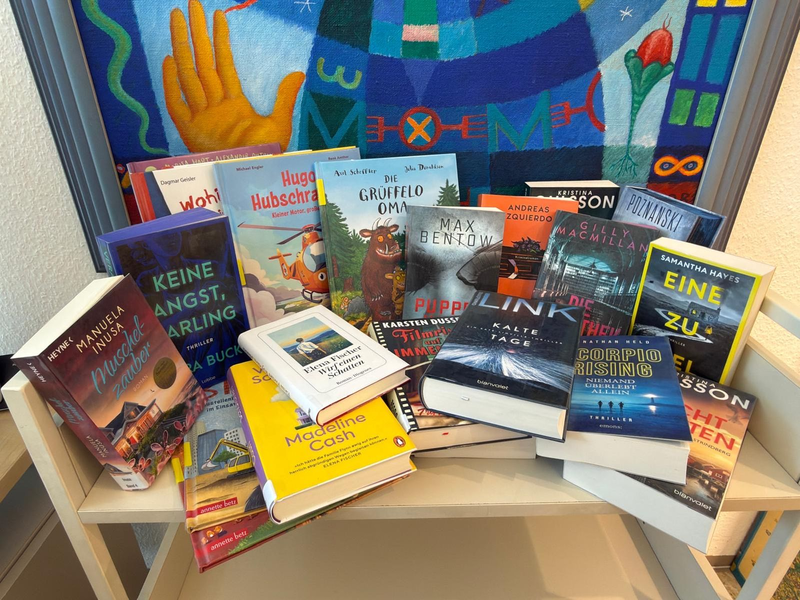 Ein Regal ist voll mit verschiedenen Büchern in unterschiedlichen Farben und Formaten vor einem farbenfrohen Hintergrund.